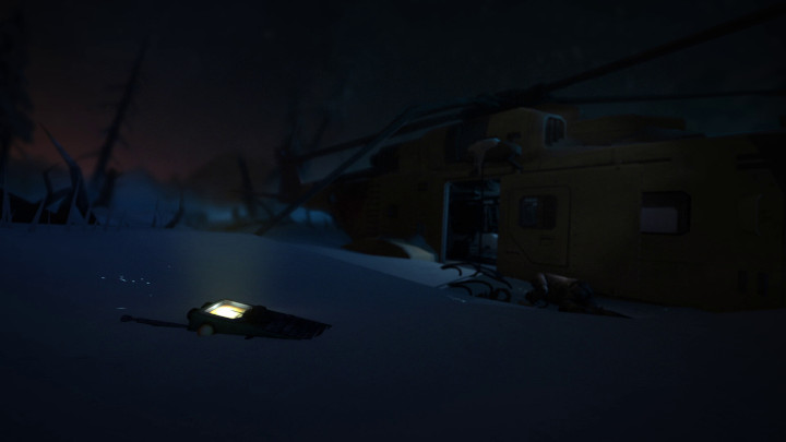 The Long Dark Survival game